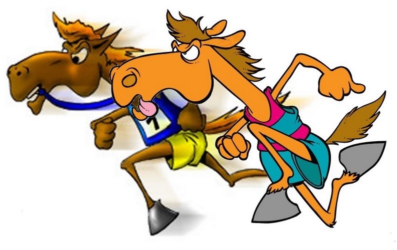 horse race