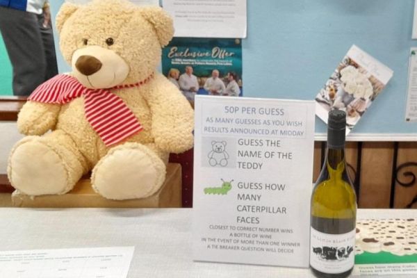 guess-the-teddies-nameFEE3BE0C-CFB2-D3ED-B653-1335383BC572.jpg